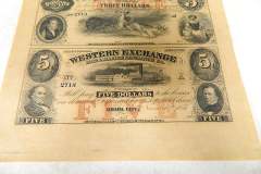 DSCN1878