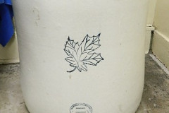 DSCN7795