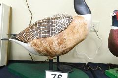 DSCN7937