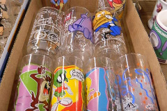 DSCN8521