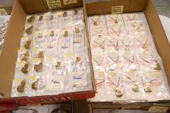 DSCN3613