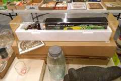 DSCN3648