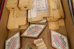 DSCN3810