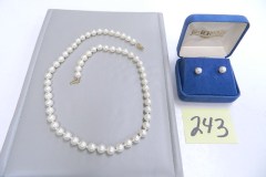 DSCN0195