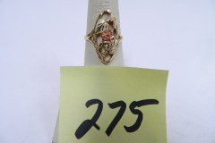 DSCN0381