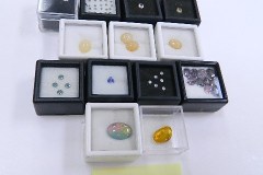 DSCN5465