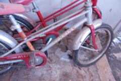 SAM_7806