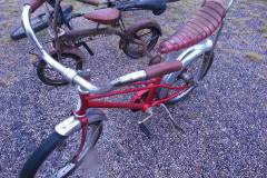 SAM_7978
