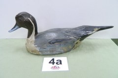 DSCN1185